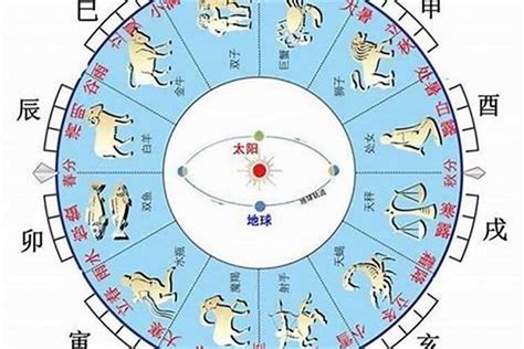 天干地支2024|2024甲辰年流年天干地支详解